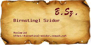 Birnstingl Szidor névjegykártya